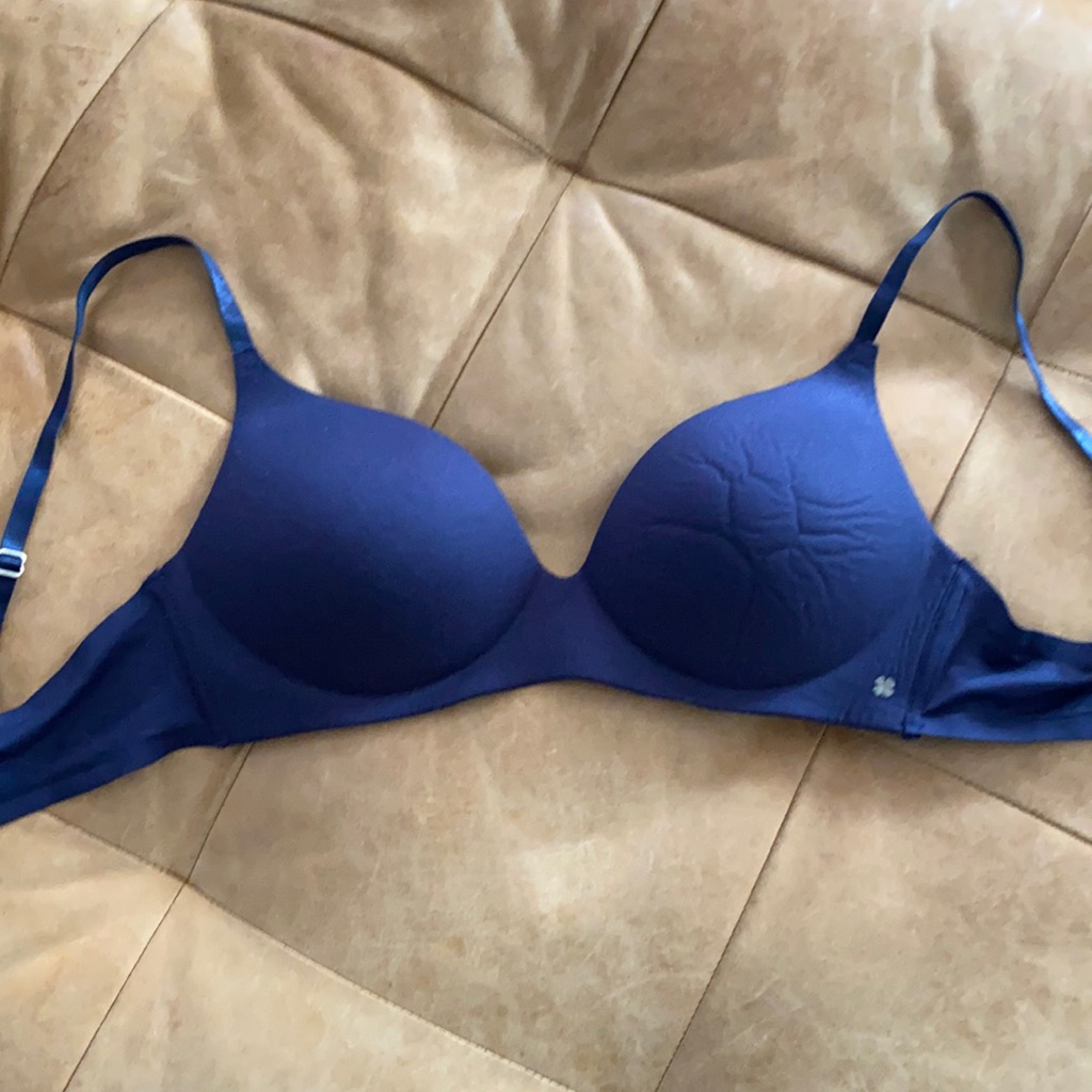 220 Lucky Brand Navy Wireless Padded Bra 36c